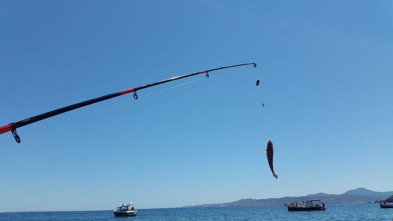 Ca La Nuri Pis 1 Vistas Al Mar Διαμέρισμα Llança Εξωτερικό φωτογραφία